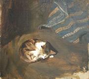 Paul Raud Sleeping cat by Paul Raud oil painting